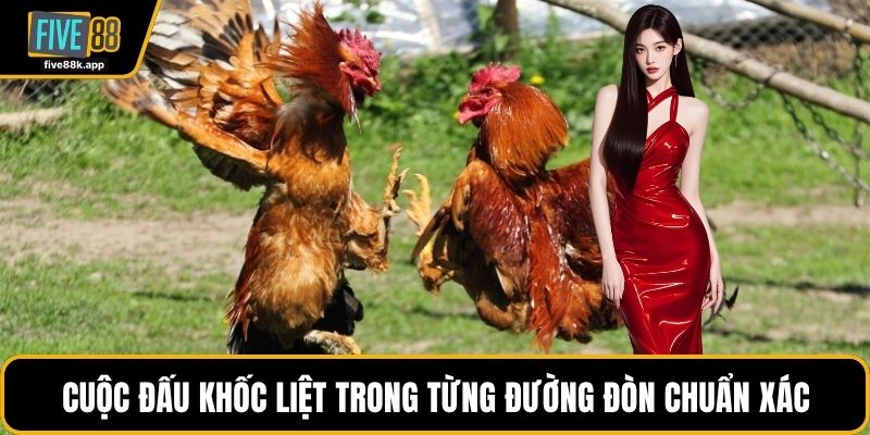 Cuộc đấu khốc liệt trong từng đường đòn chuẩn xác